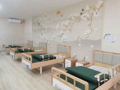 龍泉驛區(qū)西河街道迎來(lái)首個(gè)養(yǎng)老服務(wù)綜合體落成